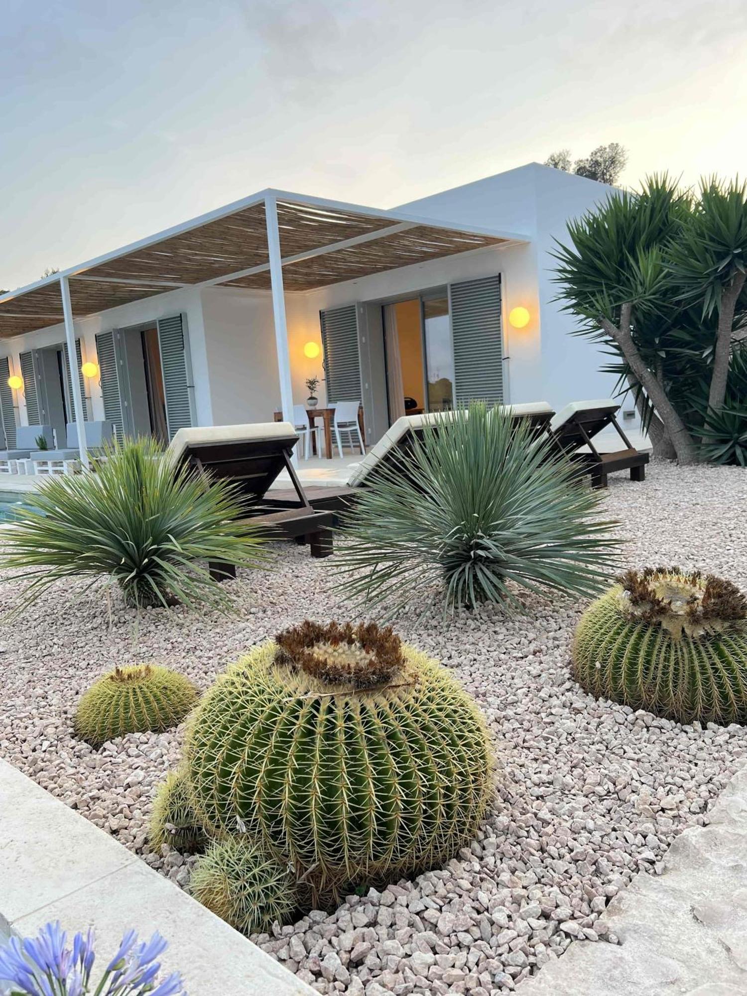 Can Corda Formentera Cala Saona Eksteriør billede